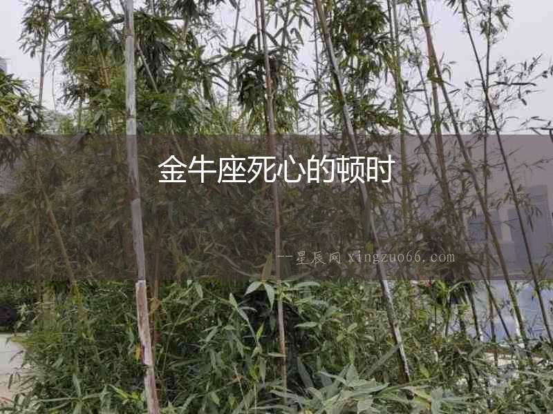 金牛座死心的頓時