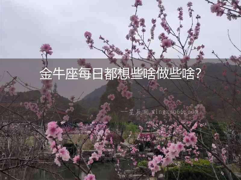 金牛座每日都想些啥做些啥？