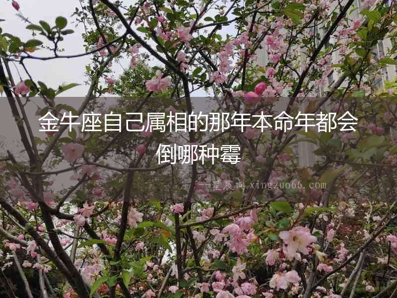金牛座自己屬相的那年本命年都會倒哪種霉