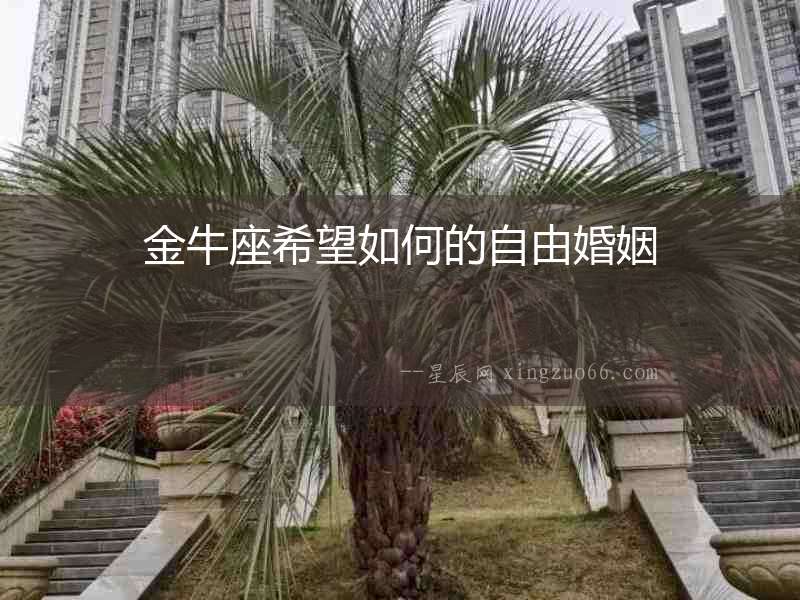 金牛座希望如何的自由婚姻