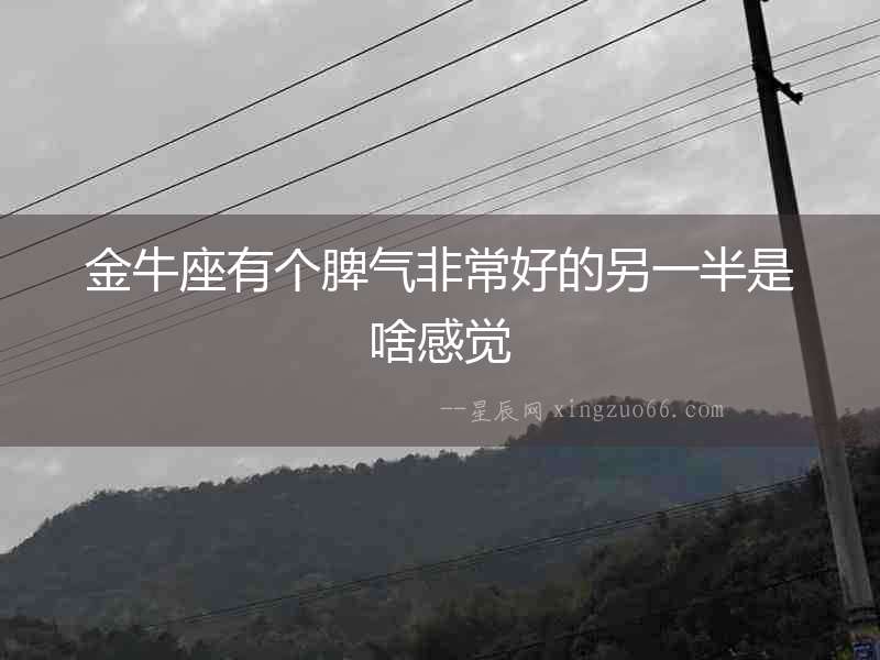金牛座有個(gè)脾氣非常好的另一半是啥感覺