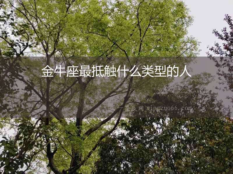 金牛座最抵觸什么類型的人