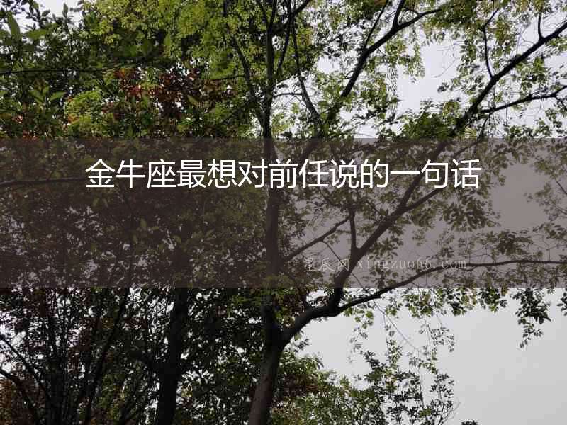 金牛座最想對前任說的一句話