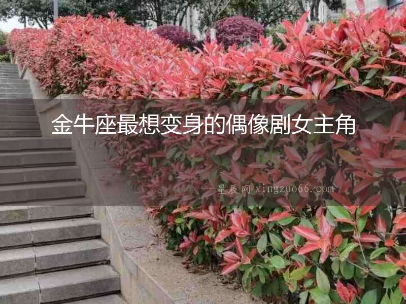 金牛座最想變身的偶像劇女主角
