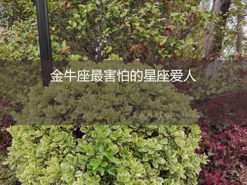 金牛座最害怕的星座愛人
