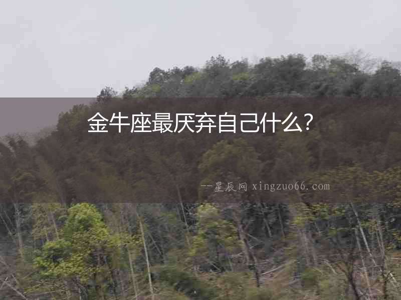 金牛座最厭棄自己什么？