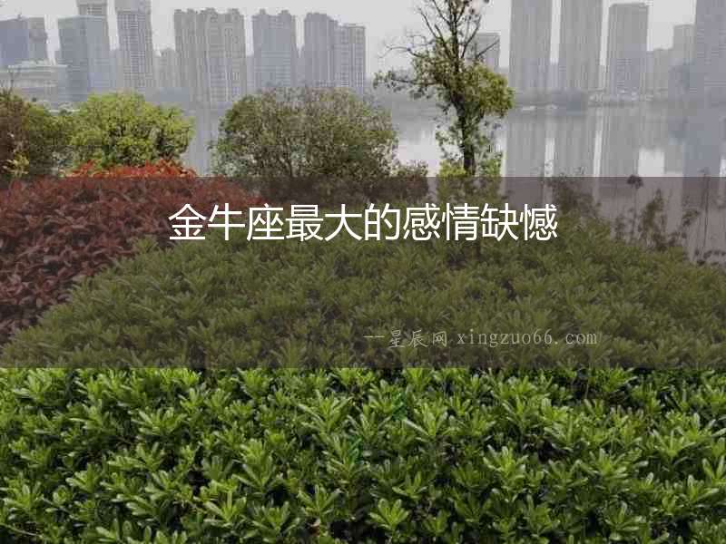 金牛座最大的感情缺憾