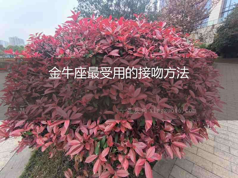 金牛座最受用的接吻方法