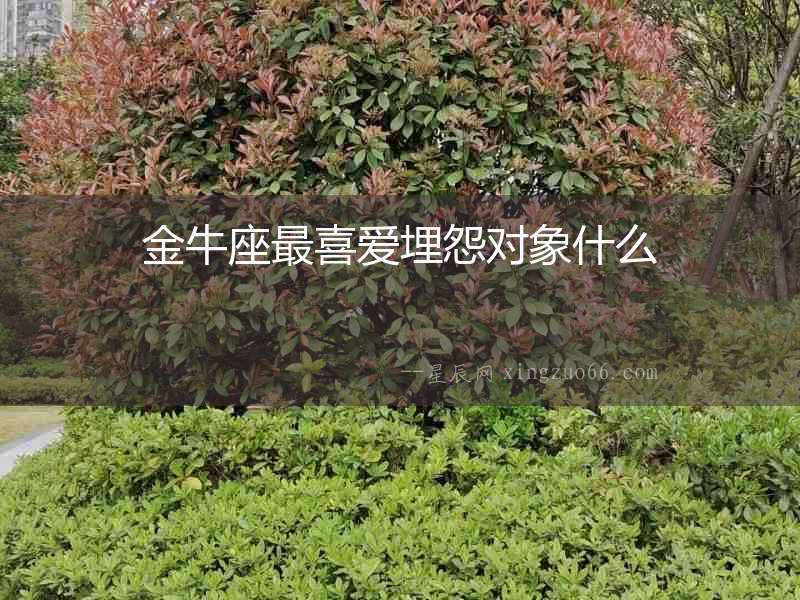 金牛座最喜愛埋怨對象什么