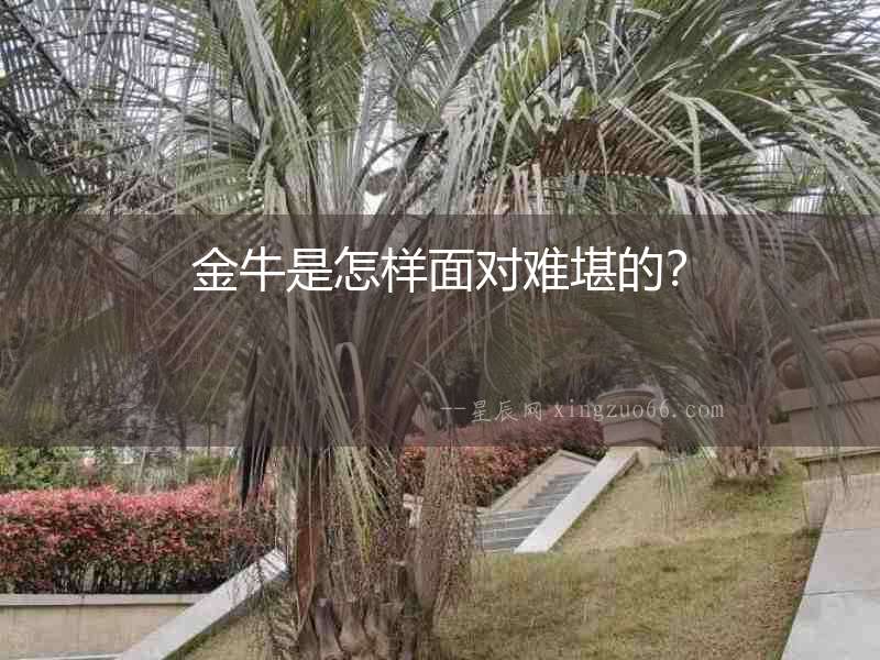 金牛是怎樣面對(duì)難堪的？
