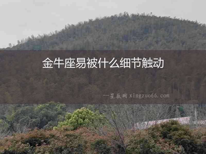 金牛座易被什么細(xì)節(jié)觸動(dòng)