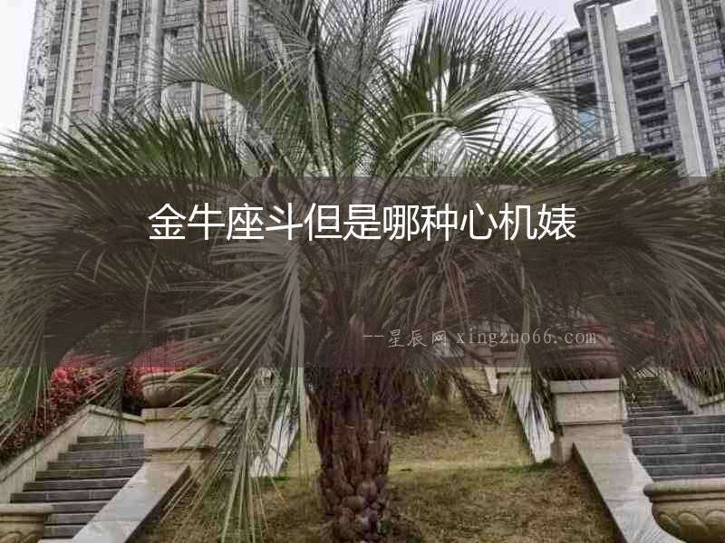 金牛座斗但是哪種心機婊