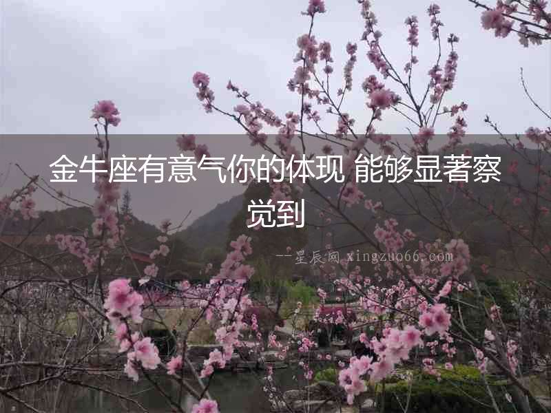 金牛座有意氣你的體現(xiàn) 能夠顯著察覺到