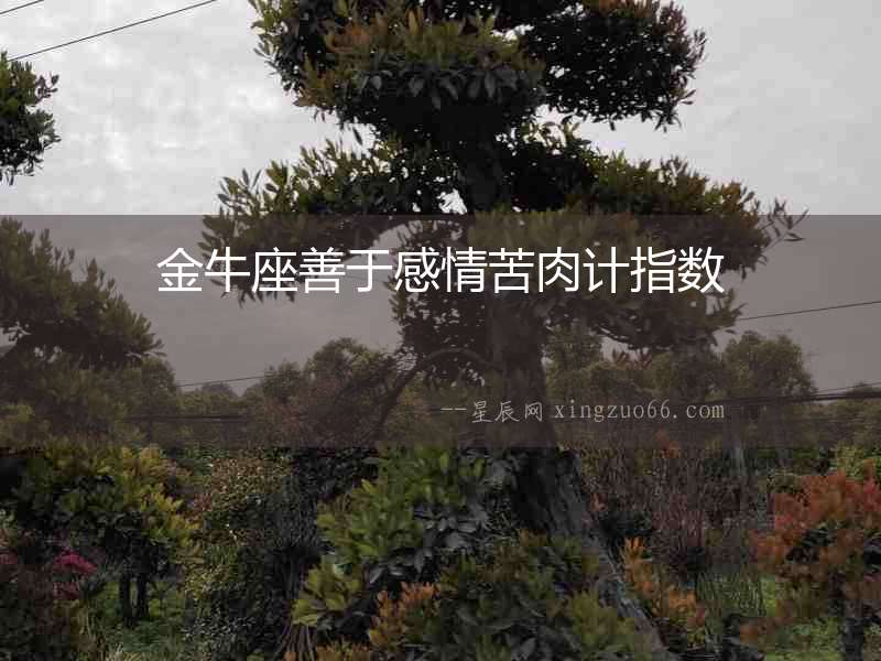 金牛座善于感情苦肉計指數