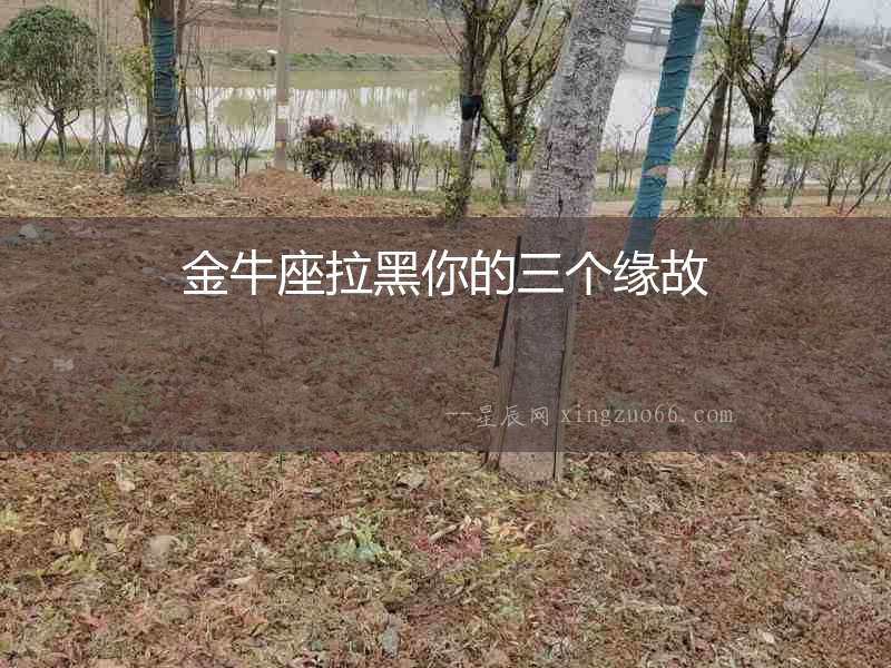 金牛座拉黑你的三個(gè)緣故
