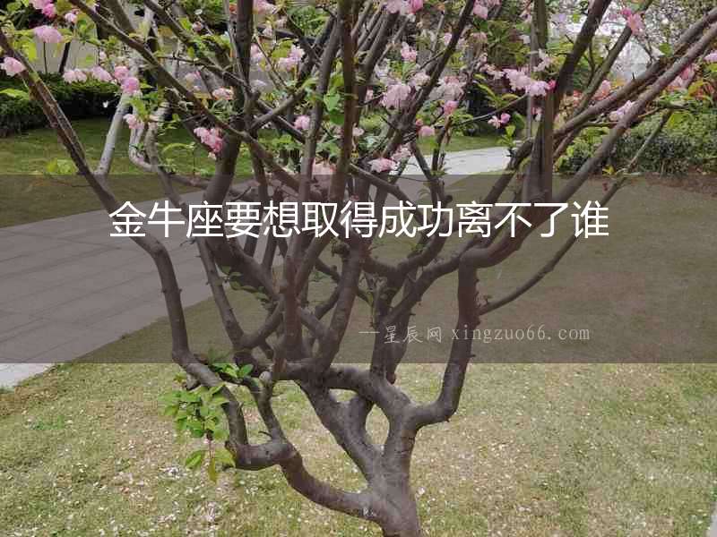 金牛座要想取得成功離不了誰