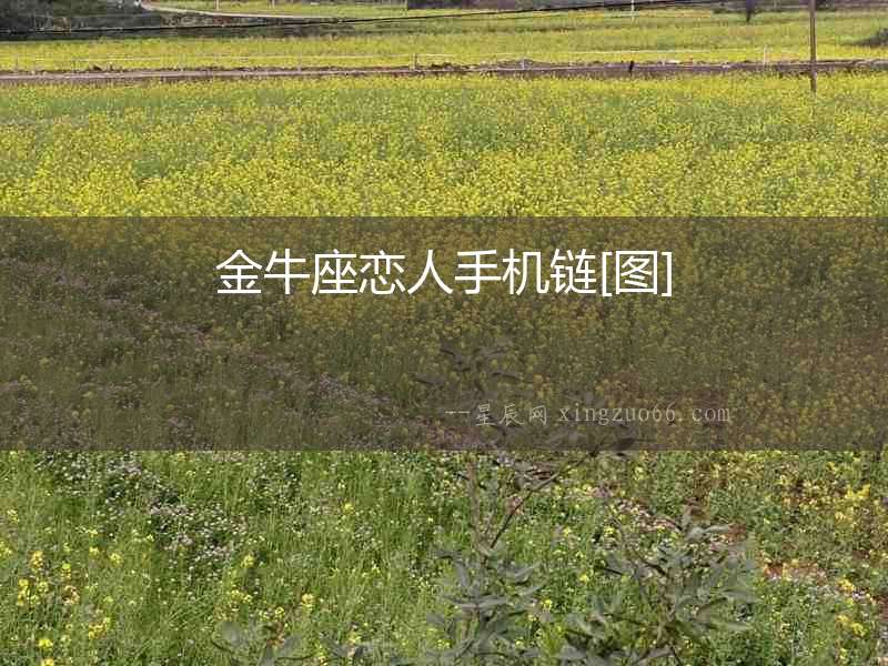 金牛座戀人手機鏈[圖]
