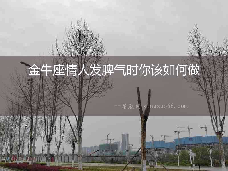 金牛座情人發脾氣時你該如何做