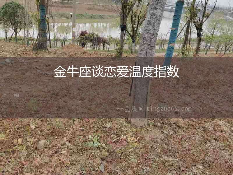 金牛座談戀愛溫度指數(shù)