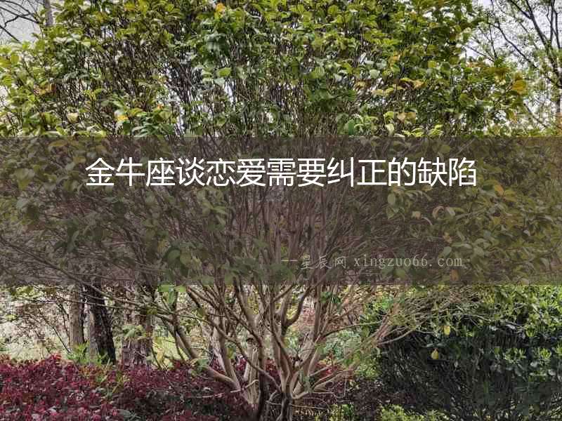 金牛座談戀愛需要糾正的缺陷