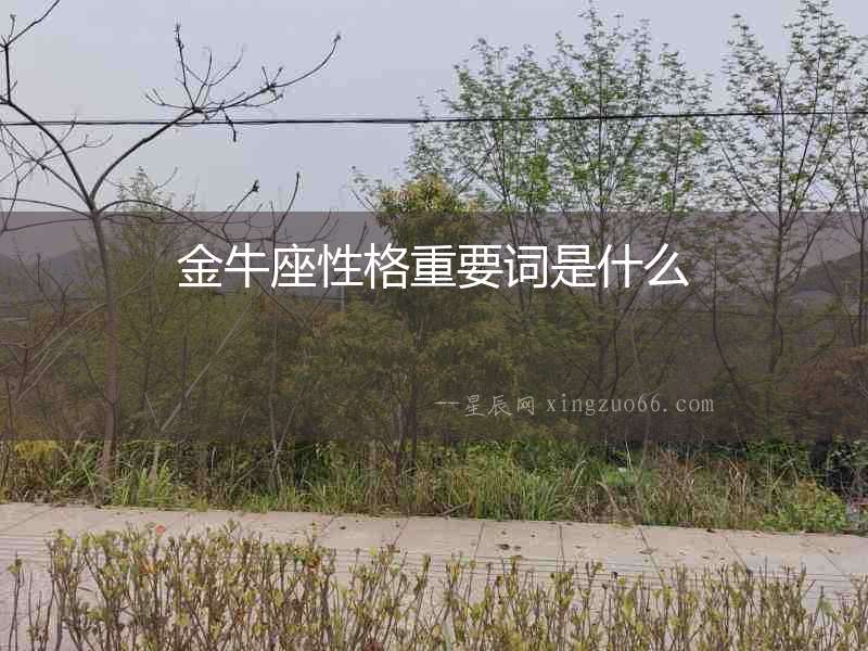 金牛座性格重要詞是什么