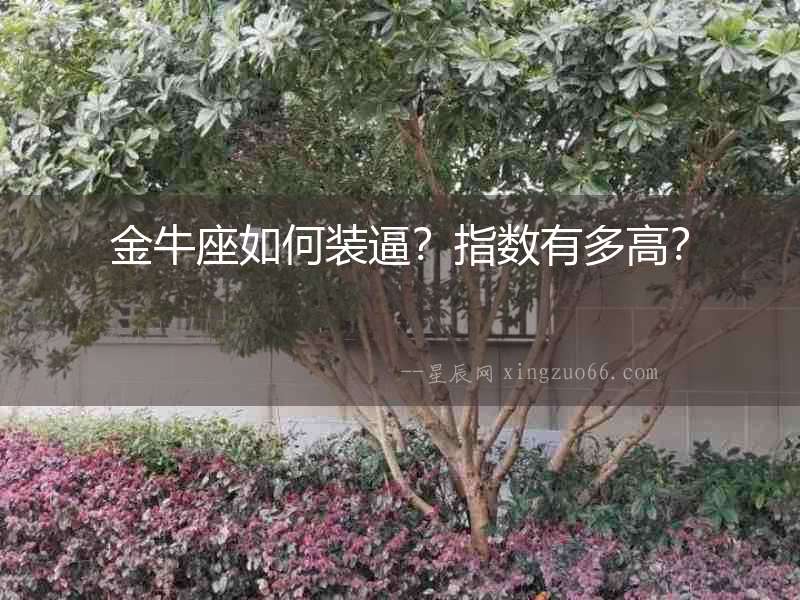 金牛座如何裝逼？指數有多高？