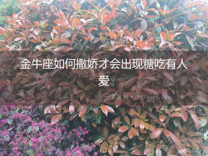 金牛座如何撒嬌才會出現糖吃有人愛