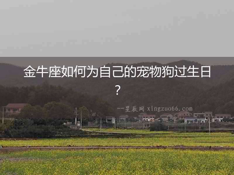 金牛座如何為自己的寵物狗過生日？