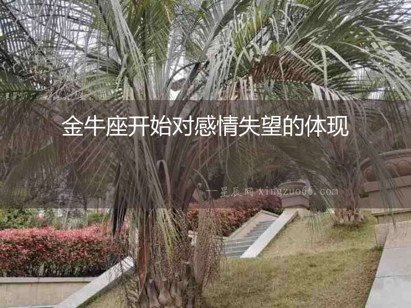 金牛座開始對感情失望的體現(xiàn)