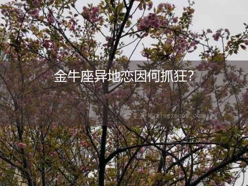 金牛座異地戀因何抓狂？