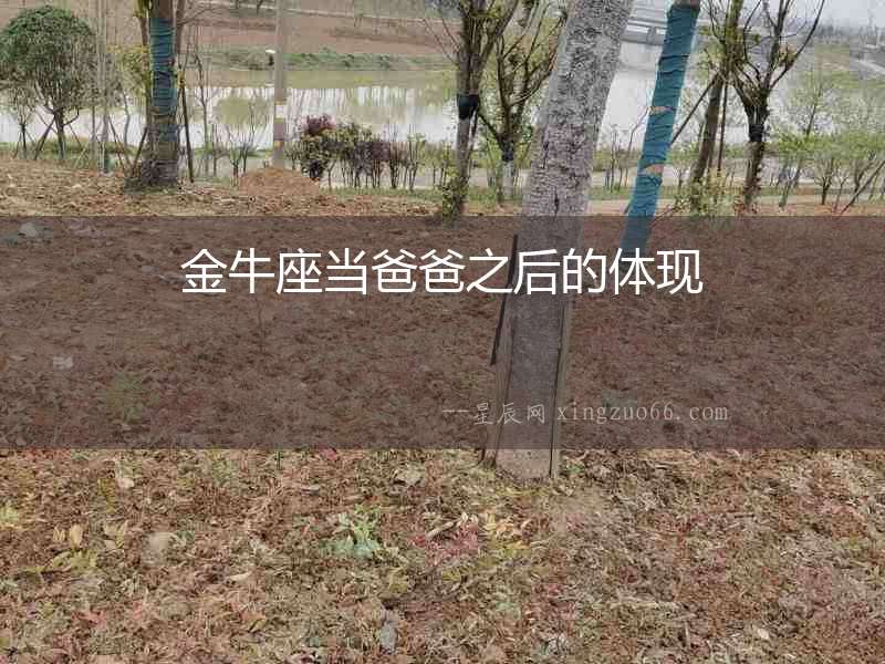 金牛座當(dāng)爸爸之后的體現(xiàn)