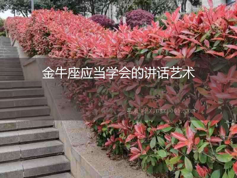 金牛座應當學會的講話藝術