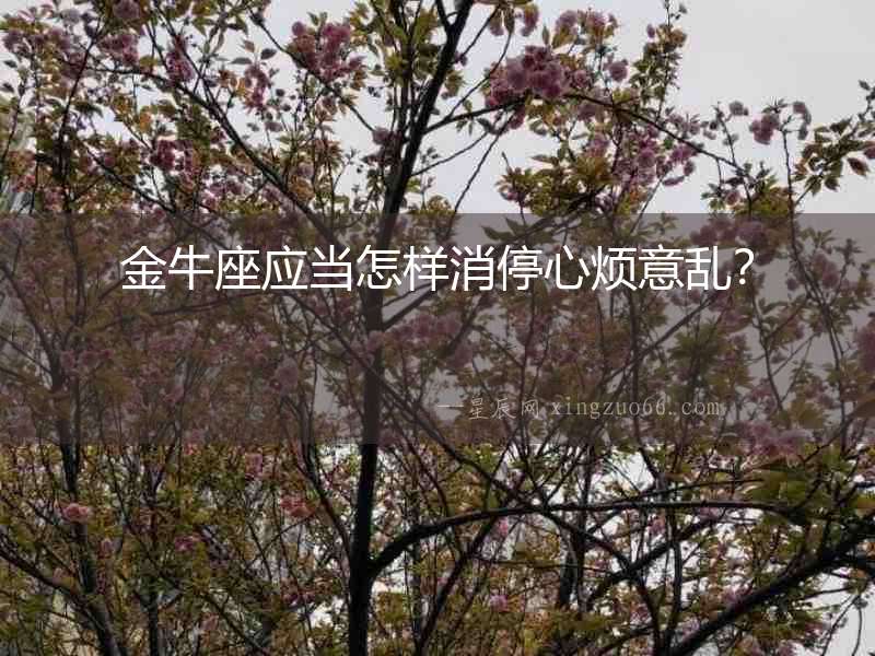 金牛座應當怎樣消停心煩意亂？