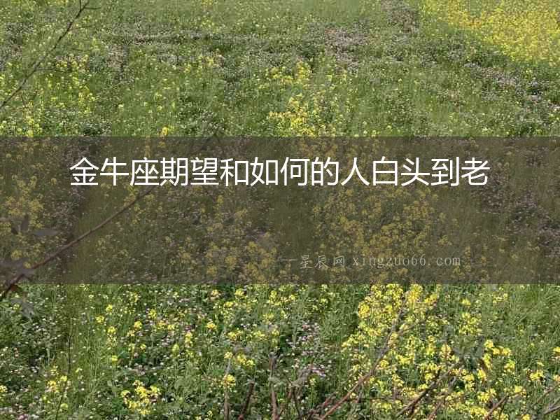 金牛座期望和如何的人白頭到老