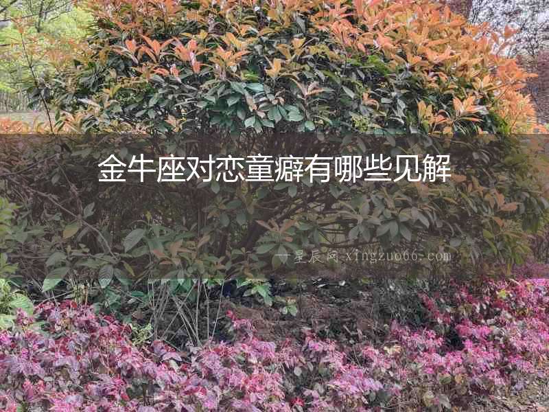 金牛座對戀童癖有哪些見解