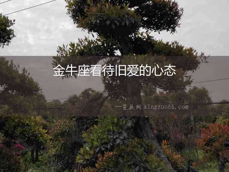 金牛座看待舊愛的心態
