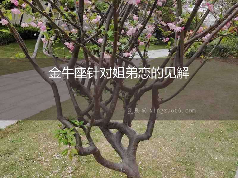 金牛座針對姐弟戀的見解