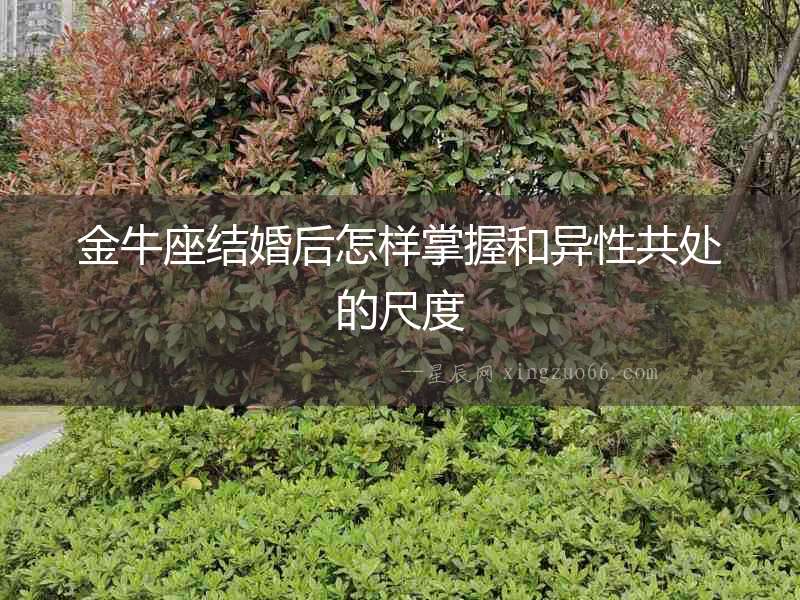 金牛座結(jié)婚后怎樣掌握和異性共處的尺度