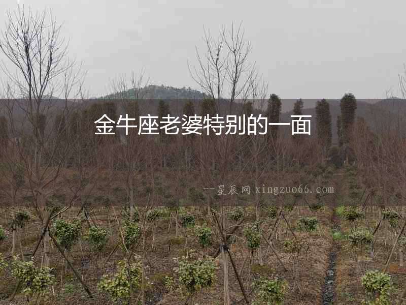 金牛座老婆特別的一面
