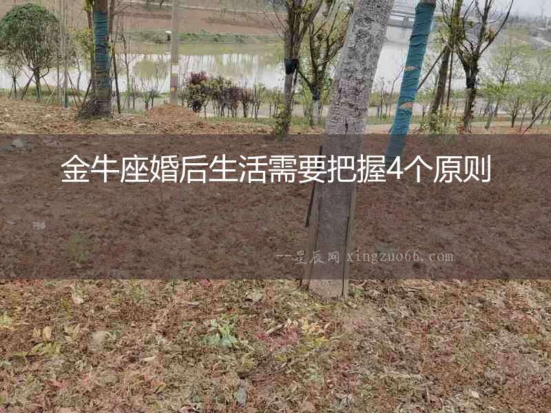 金牛座婚后生活需要把握4個原則