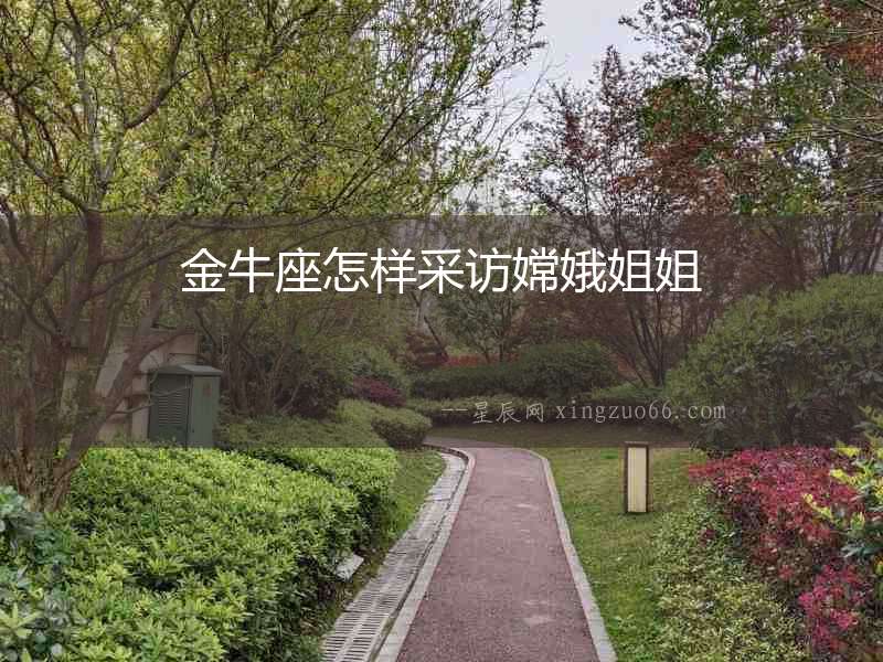 金牛座怎樣采訪嫦娥姐姐