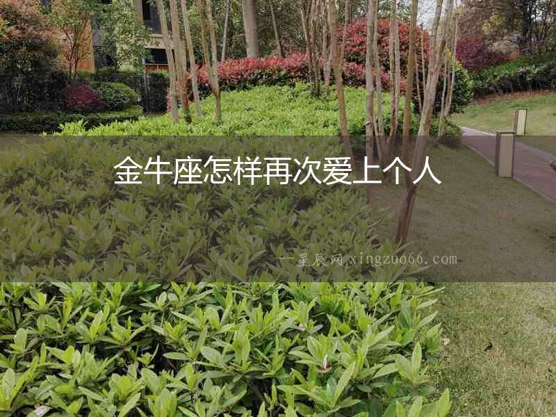 金牛座怎樣再次愛上個人