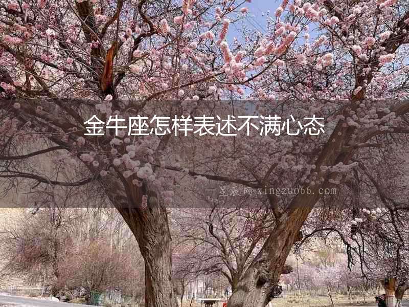 金牛座怎樣表述不滿心態(tài)