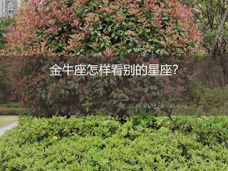 金牛座怎樣看別的星座？