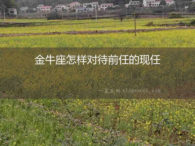 金牛座怎樣對待前任的現任