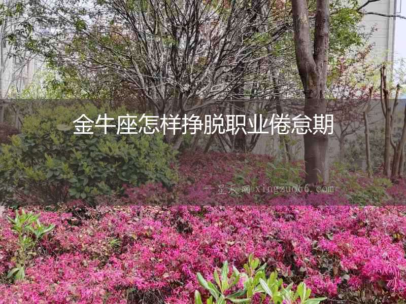 金牛座怎樣掙脫職業(yè)倦怠期