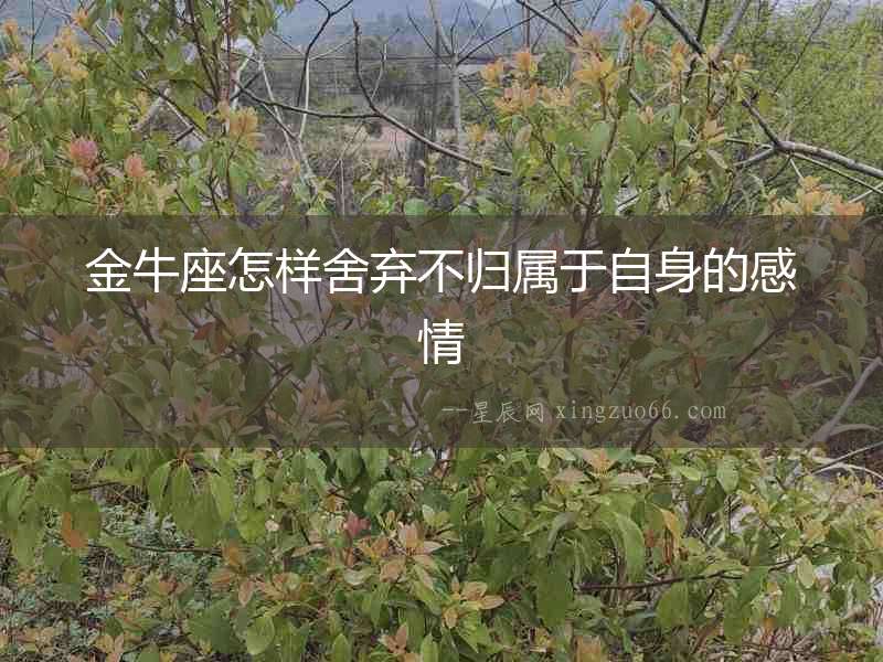 金牛座怎樣舍棄不歸屬于自身的感情