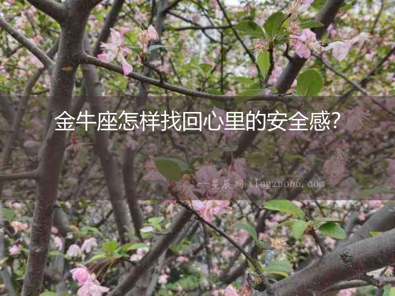 金牛座怎樣找回心里的安全感？