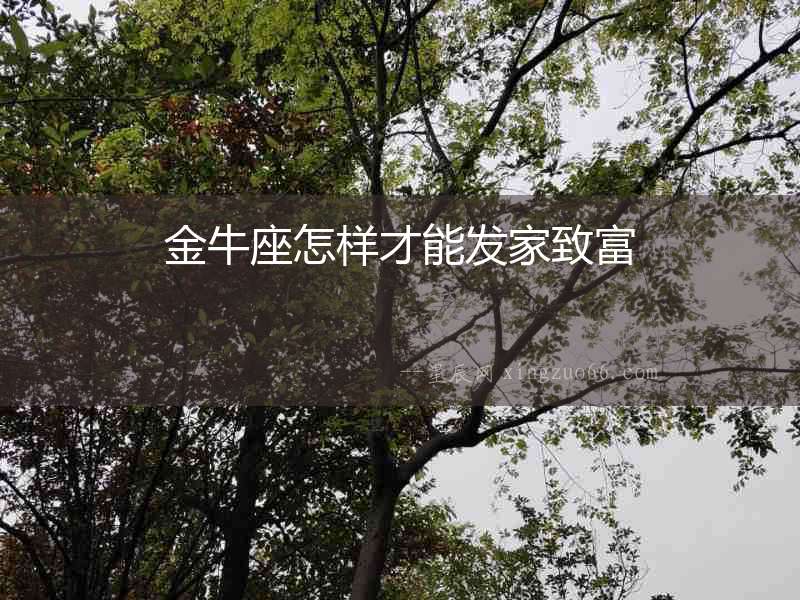 金牛座怎樣才能發家致富