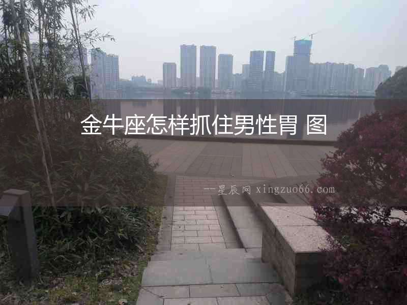金牛座怎樣抓住男性胃 圖
